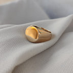 Anel Chevalier Sinete Joia Ouro Amarelo Legitimo 18k 750