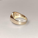 Anel Chevalier Sinete Joia Ouro Amarelo Legitimo 18k 750