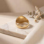 Anel Chevalier Sinete Joia Ouro Amarelo Legitimo 18k 750